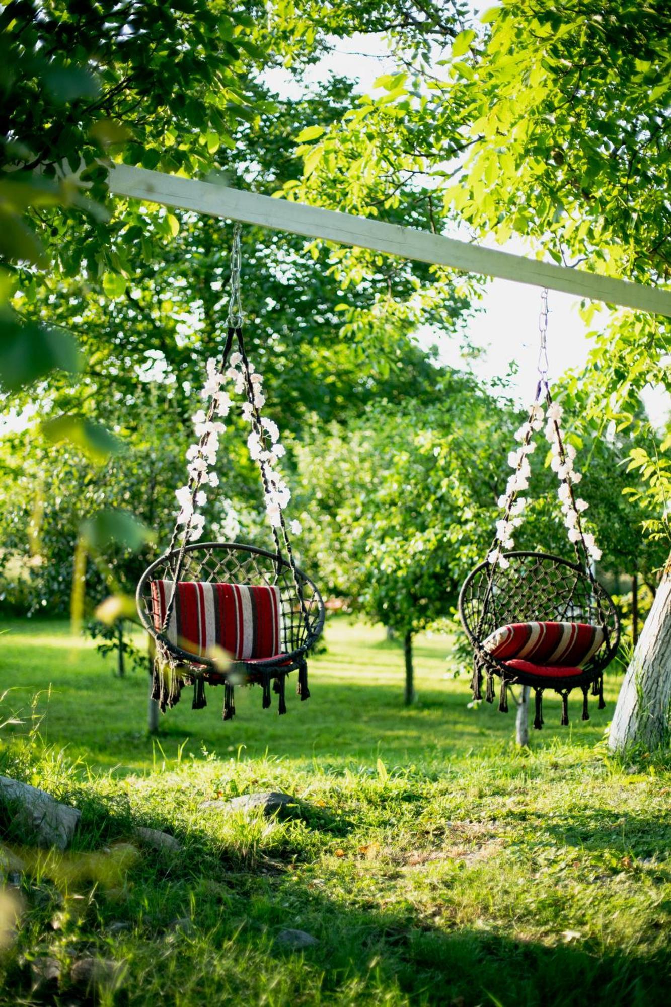 Green Garden Glamping Retezat Bălan المظهر الخارجي الصورة